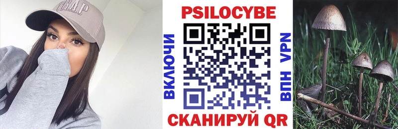 Псилоцибиновые грибы GOLDEN TEACHER  купить  цена  Новочеркасск 